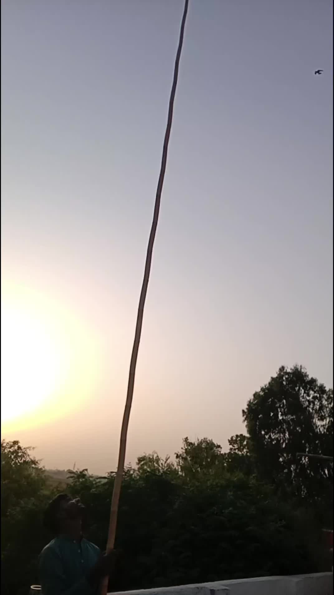 @mani Dogar 7/11
