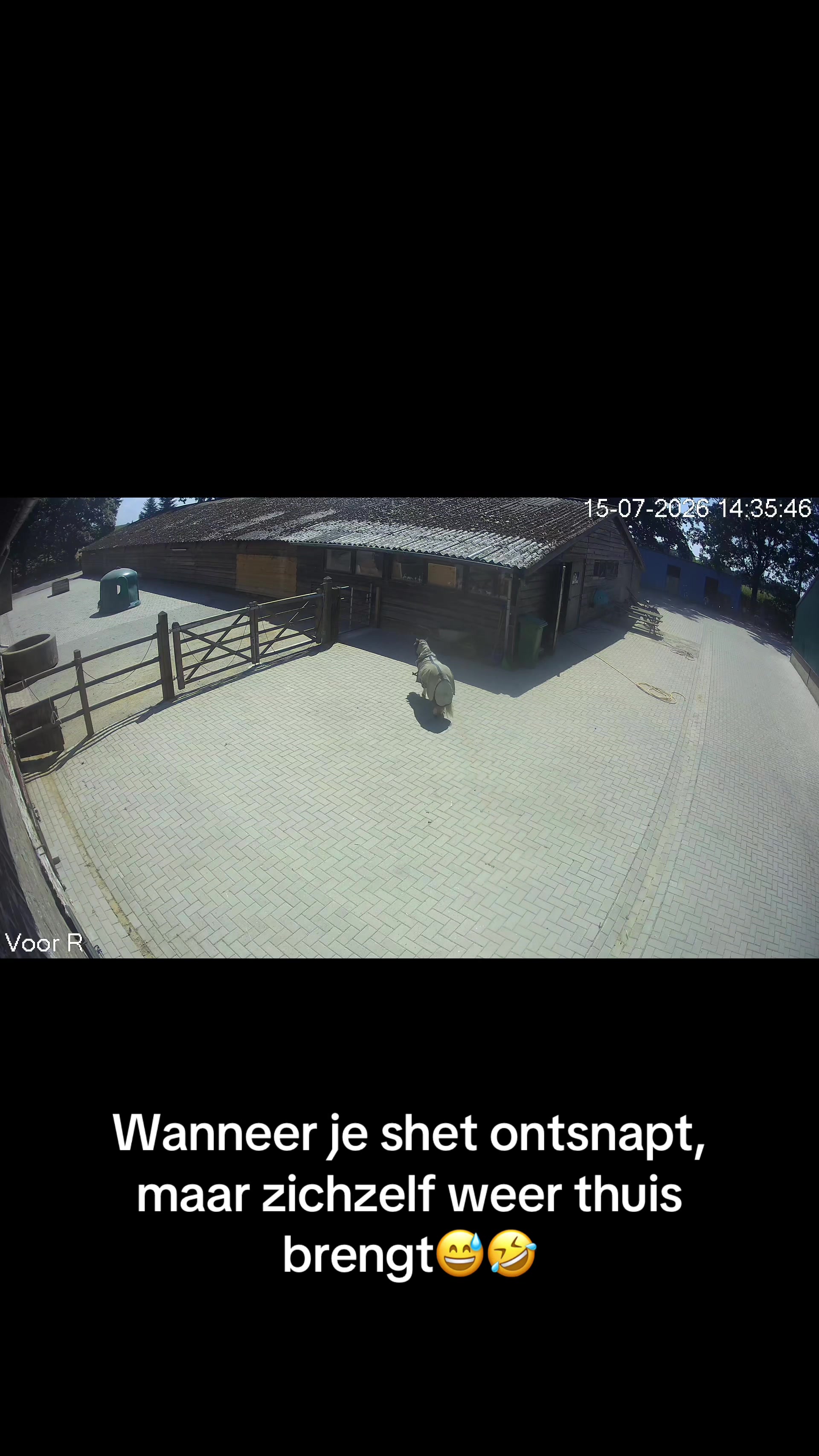 @Syrche Cordewener