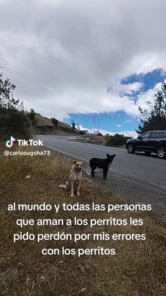 @greyseragustingam