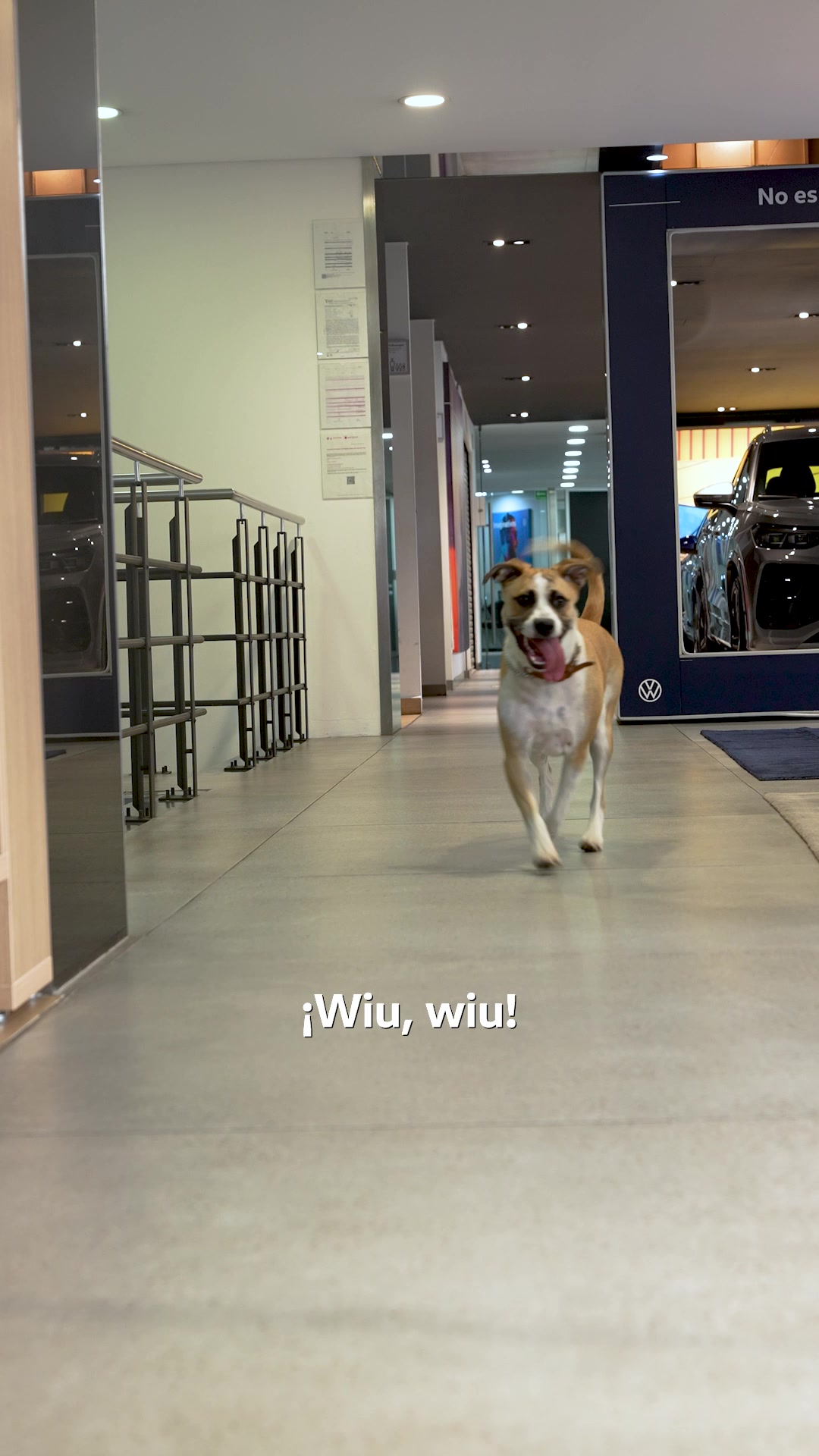@Volkswagen Auto Ventas
