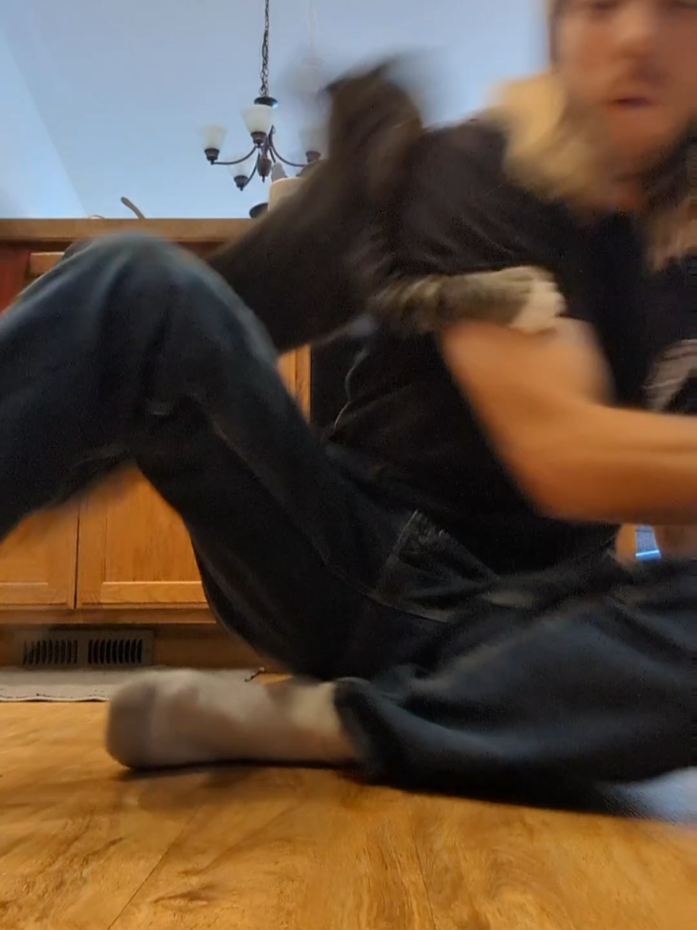 @Rainy the Cat