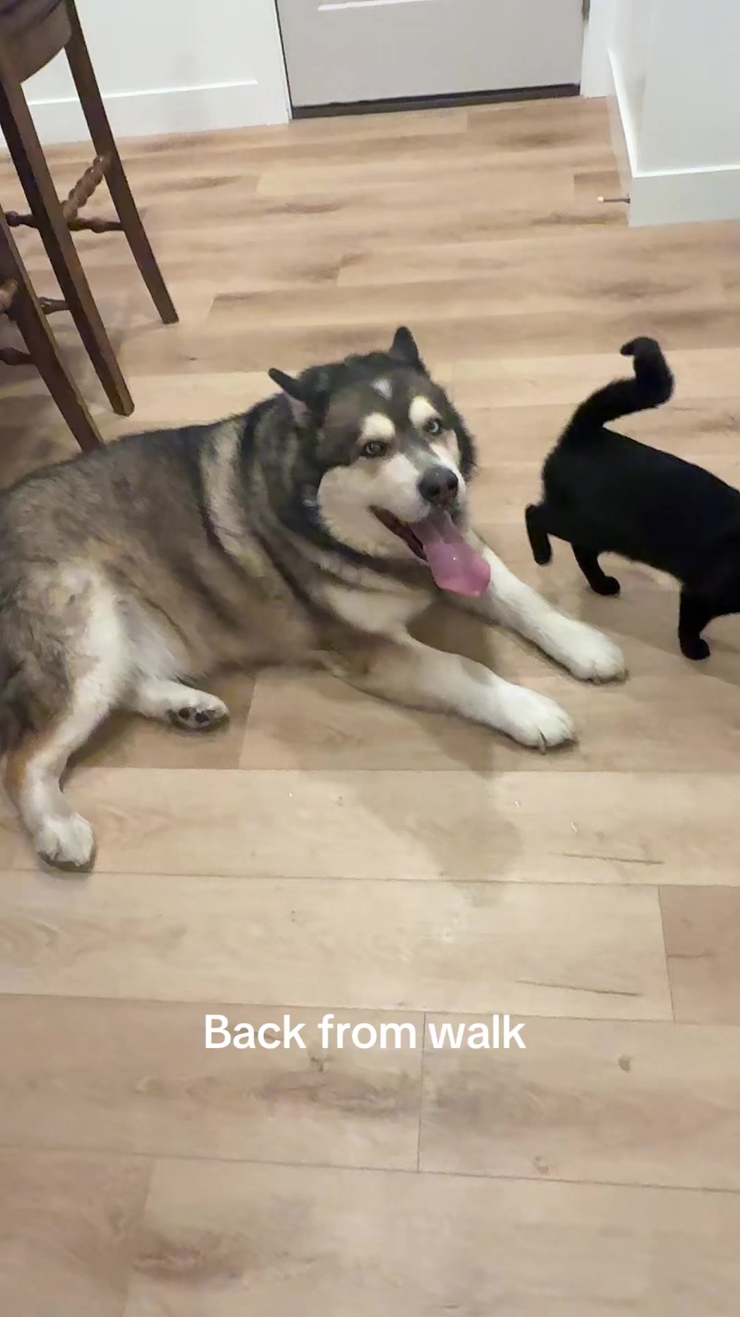 @kodi_1517