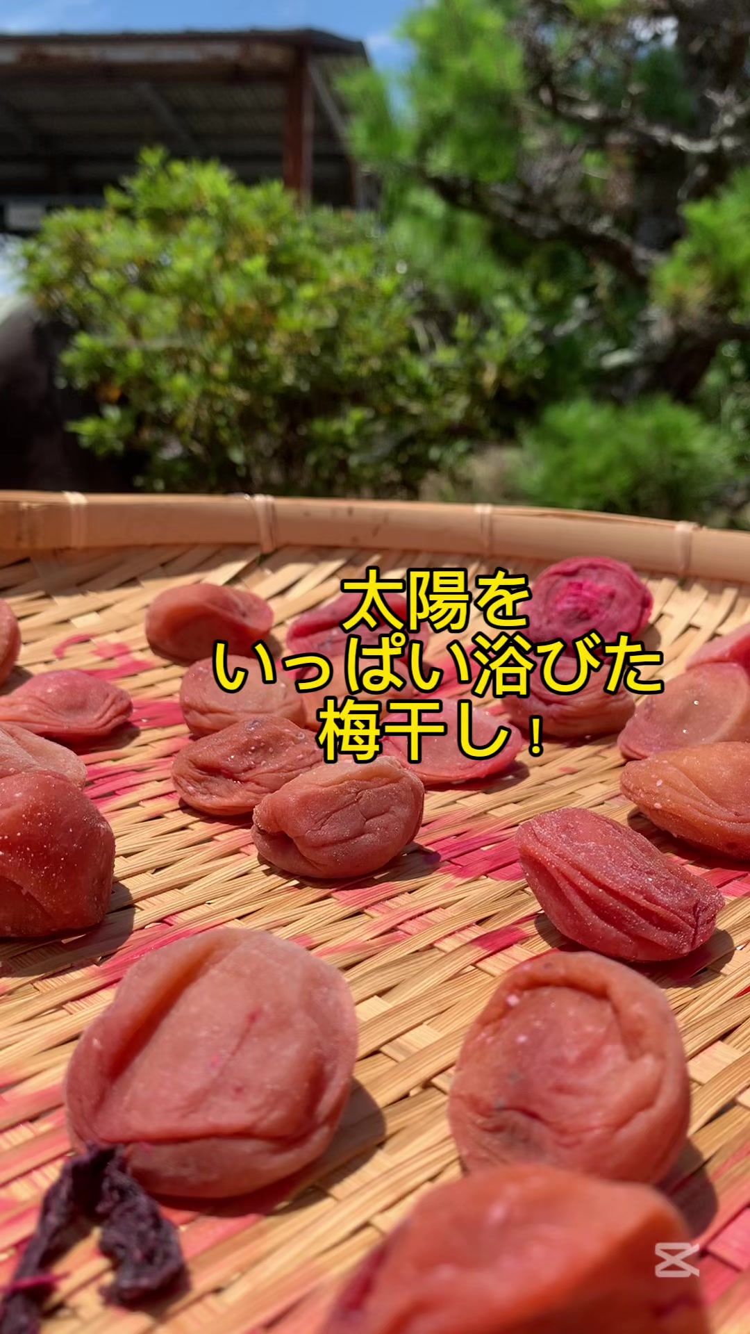 @マルン