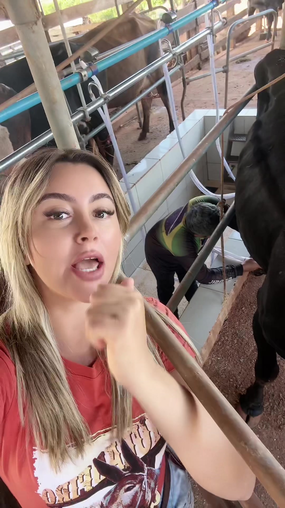 @Mariana_Fazendeira