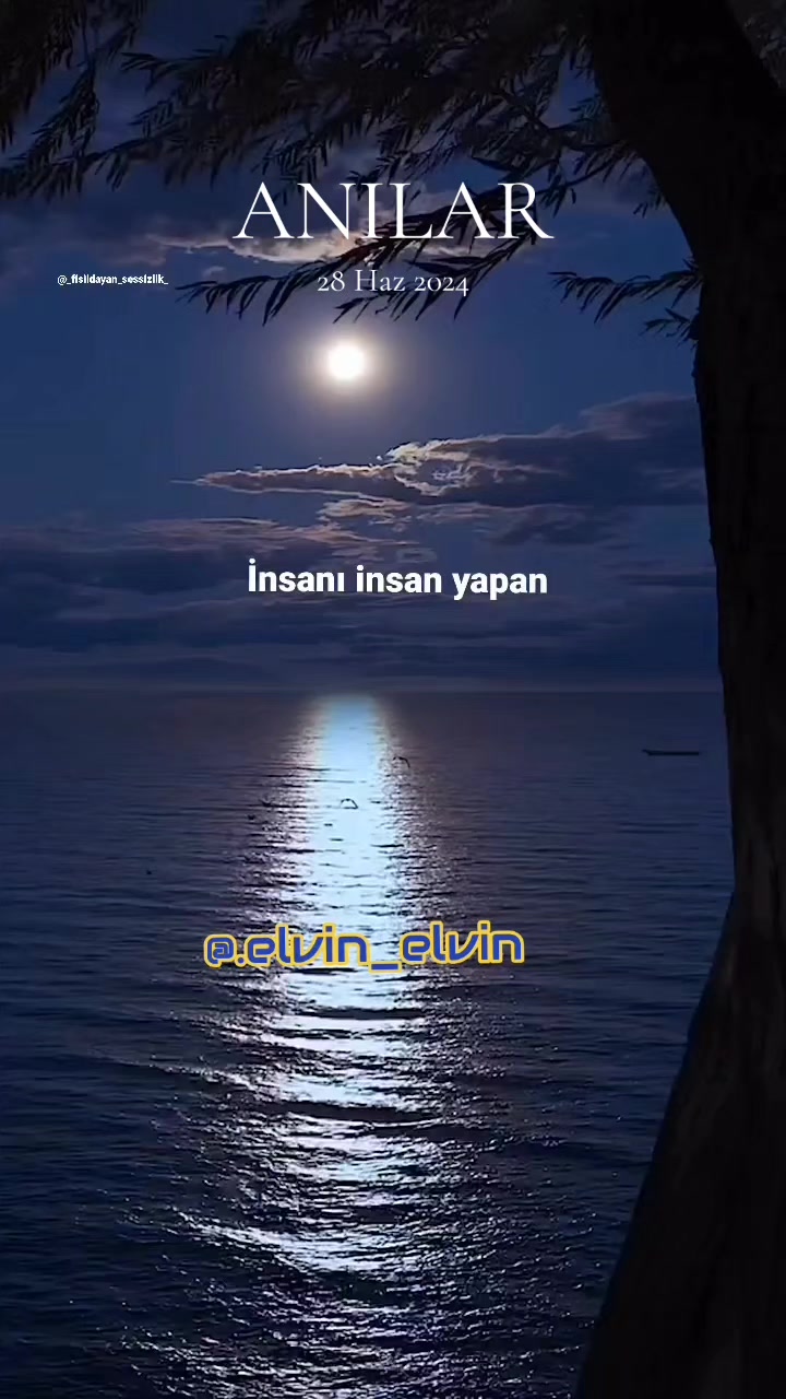 @Elvin_Elvin