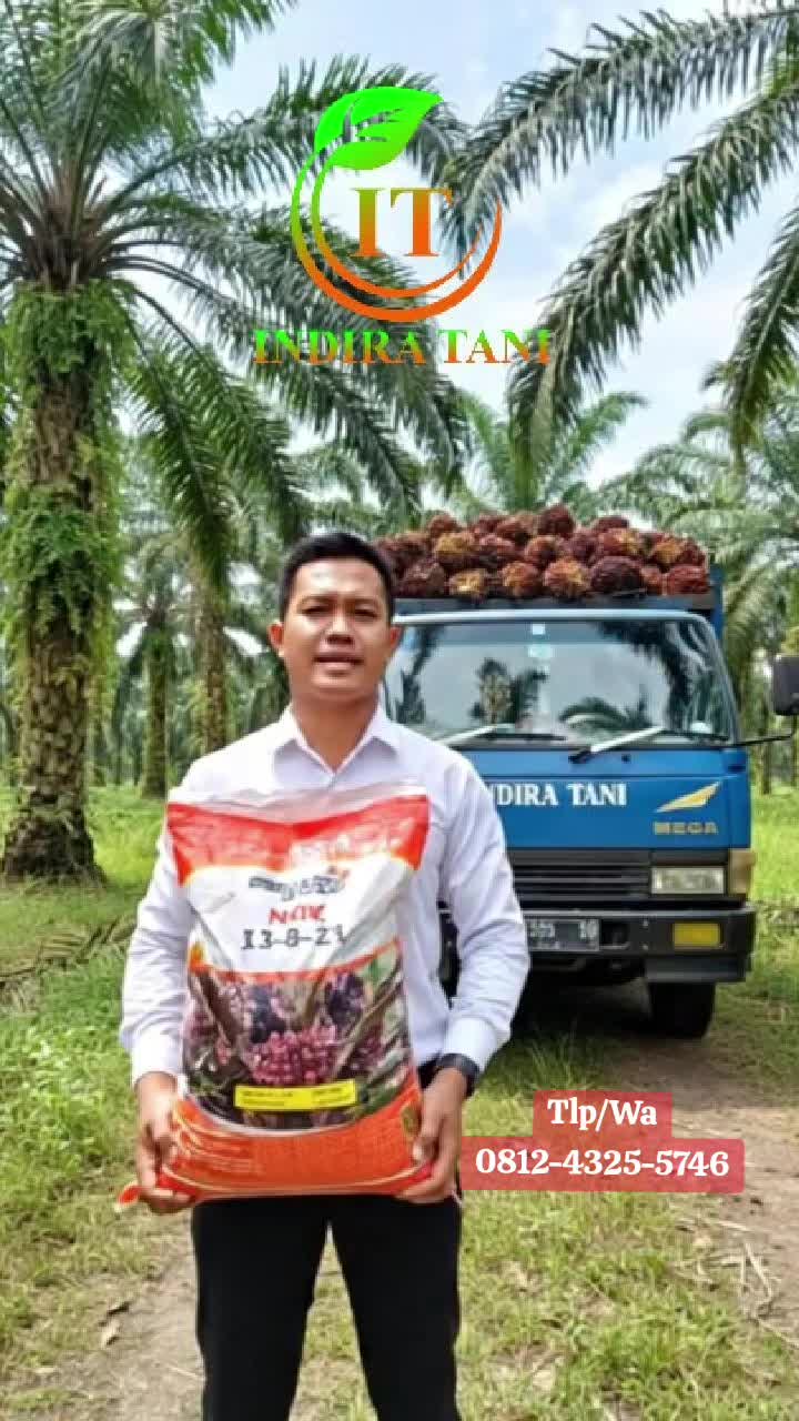 @Indira Tani Sampit