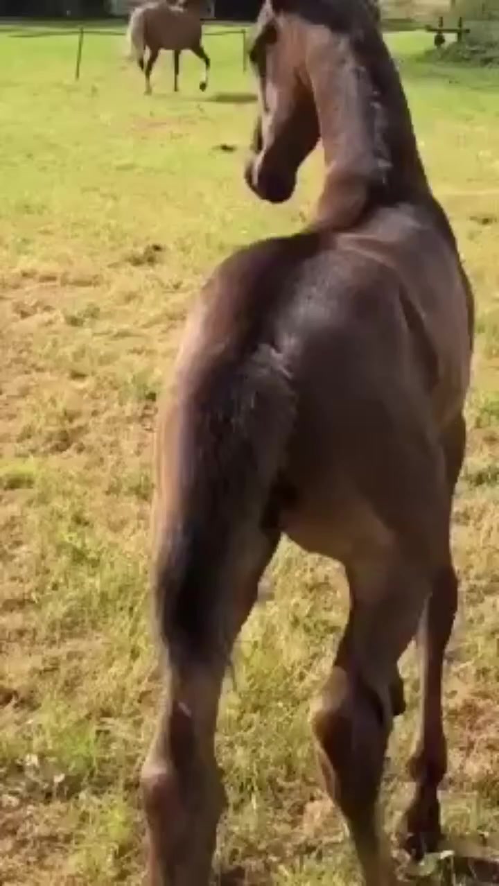 @๐๐๐๐๐๐๐๐