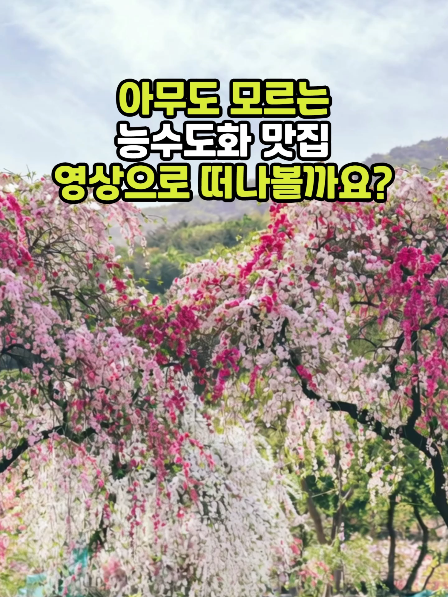 @꽃길