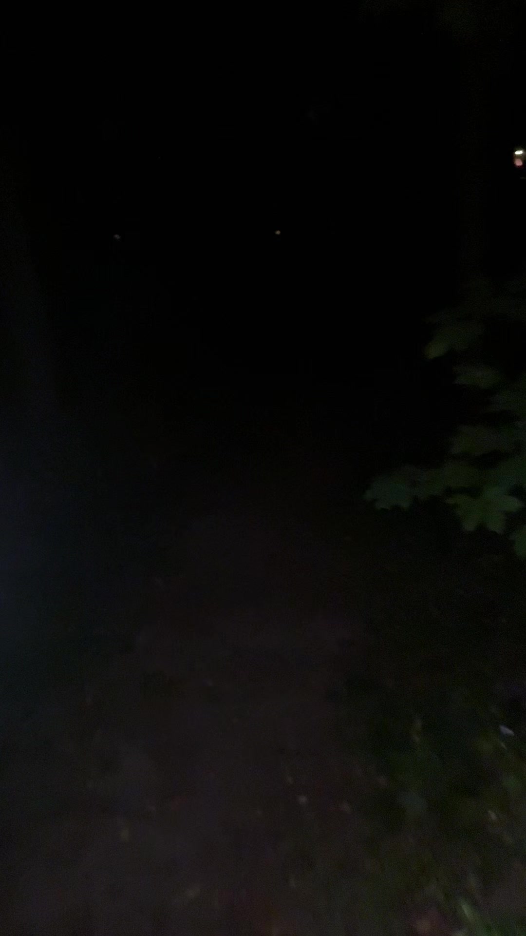 @сеня реферат