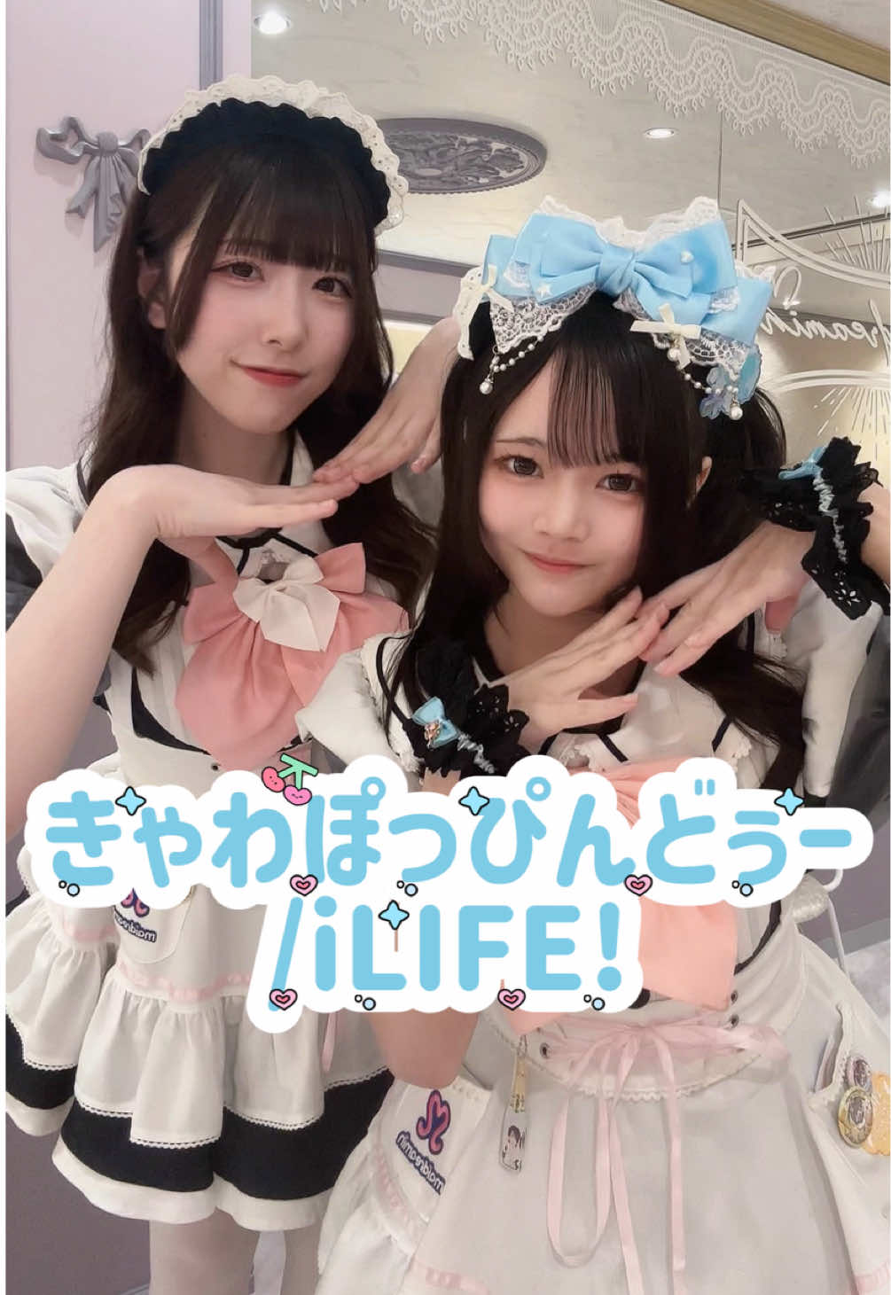 @めいどりーみん大須招き猫前店