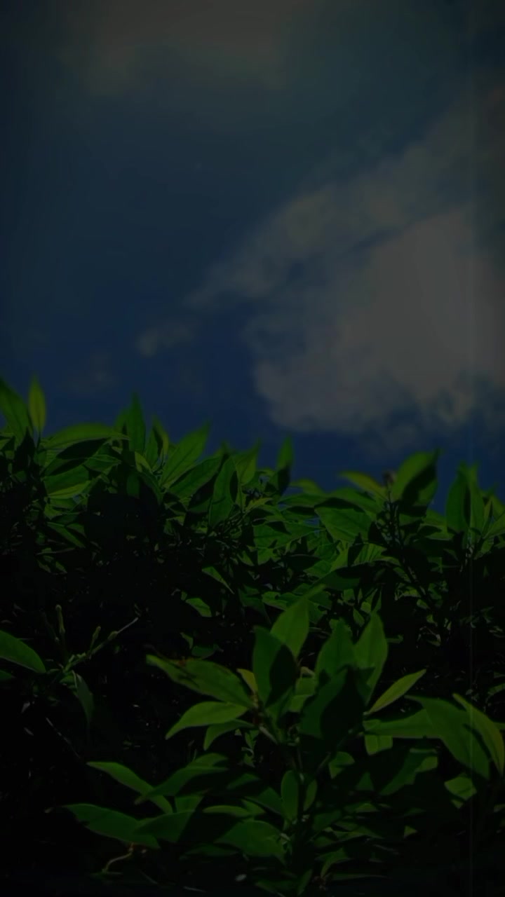 @𝐂𝐡𝐨𝐜𝐨𝐥𝐚𝐭𝐞 𝐏𝐚𝐠𝐥𝐢