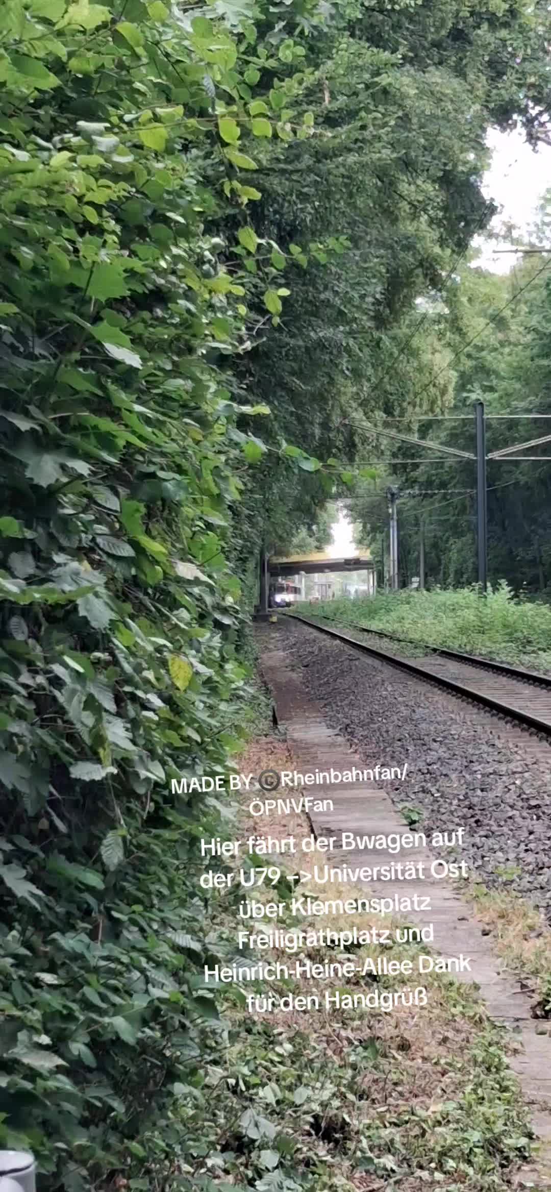 @Rheinbahn Fan/&Ouml;PNV Fan