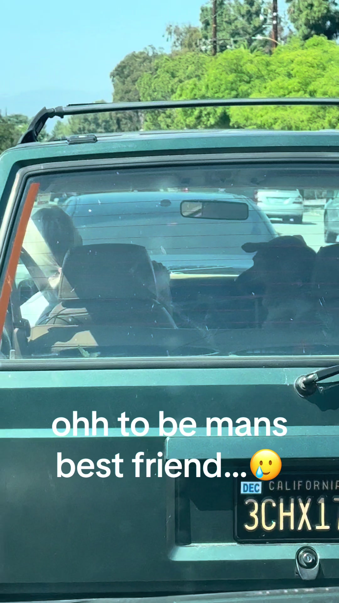 @Kashoutcris