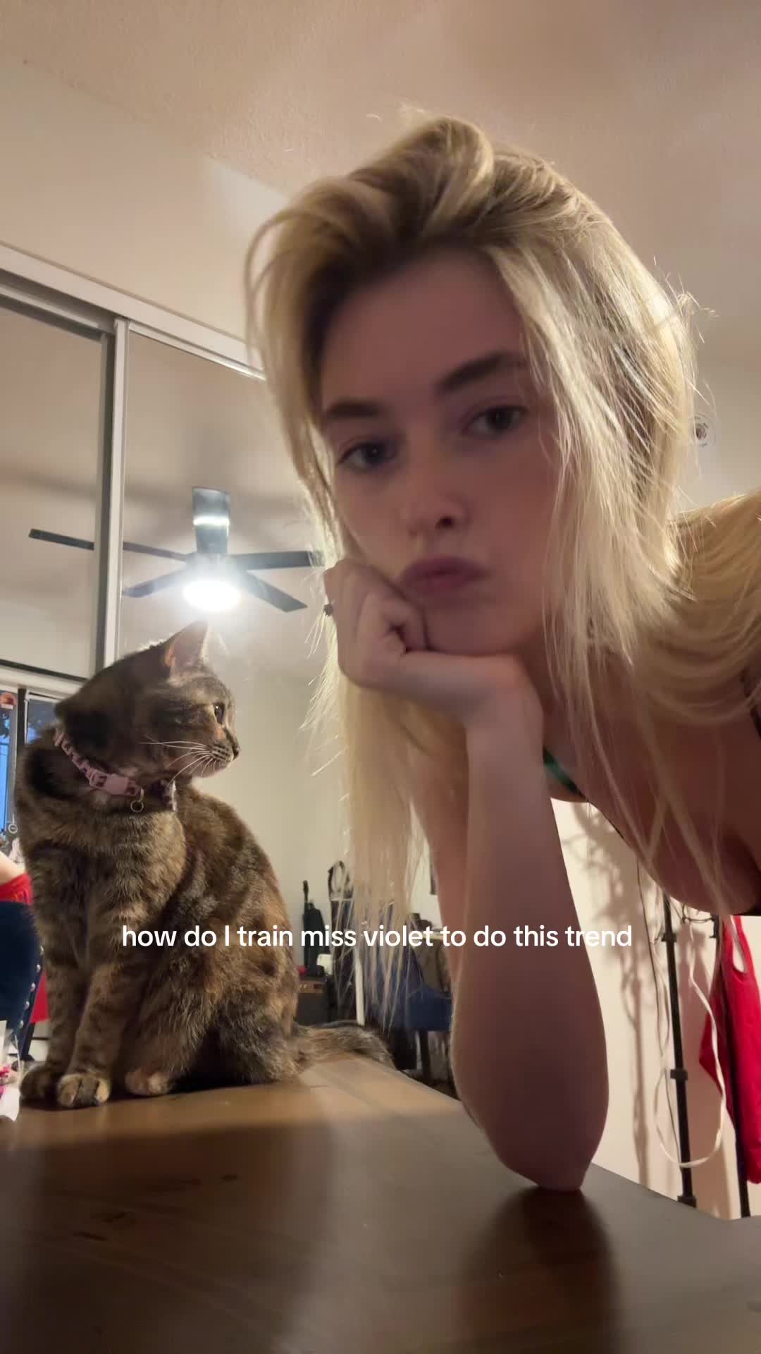 @thecarliediaries