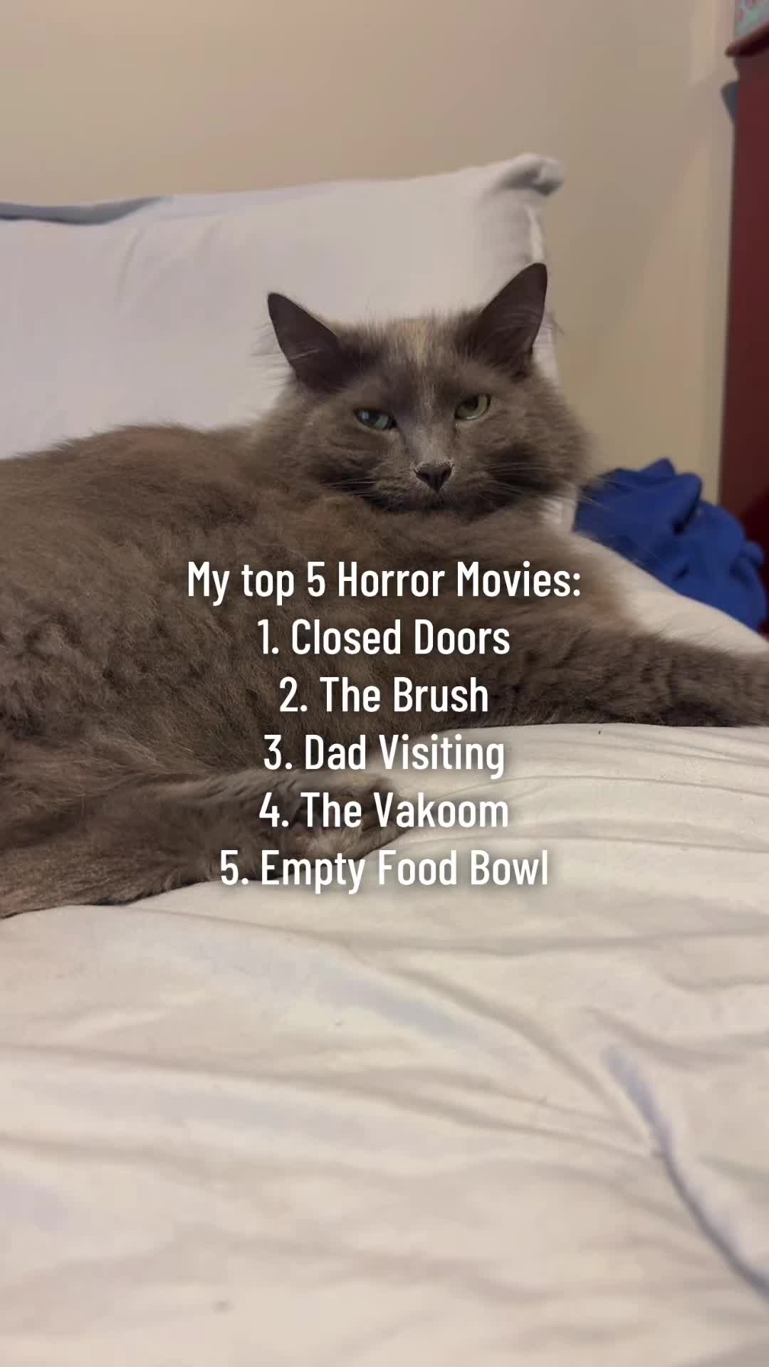 @TitoNTati 🐾