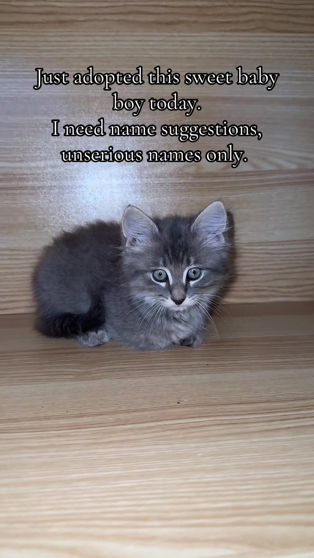 @Stephy M