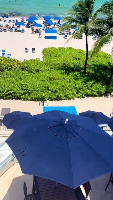 @nika.miami