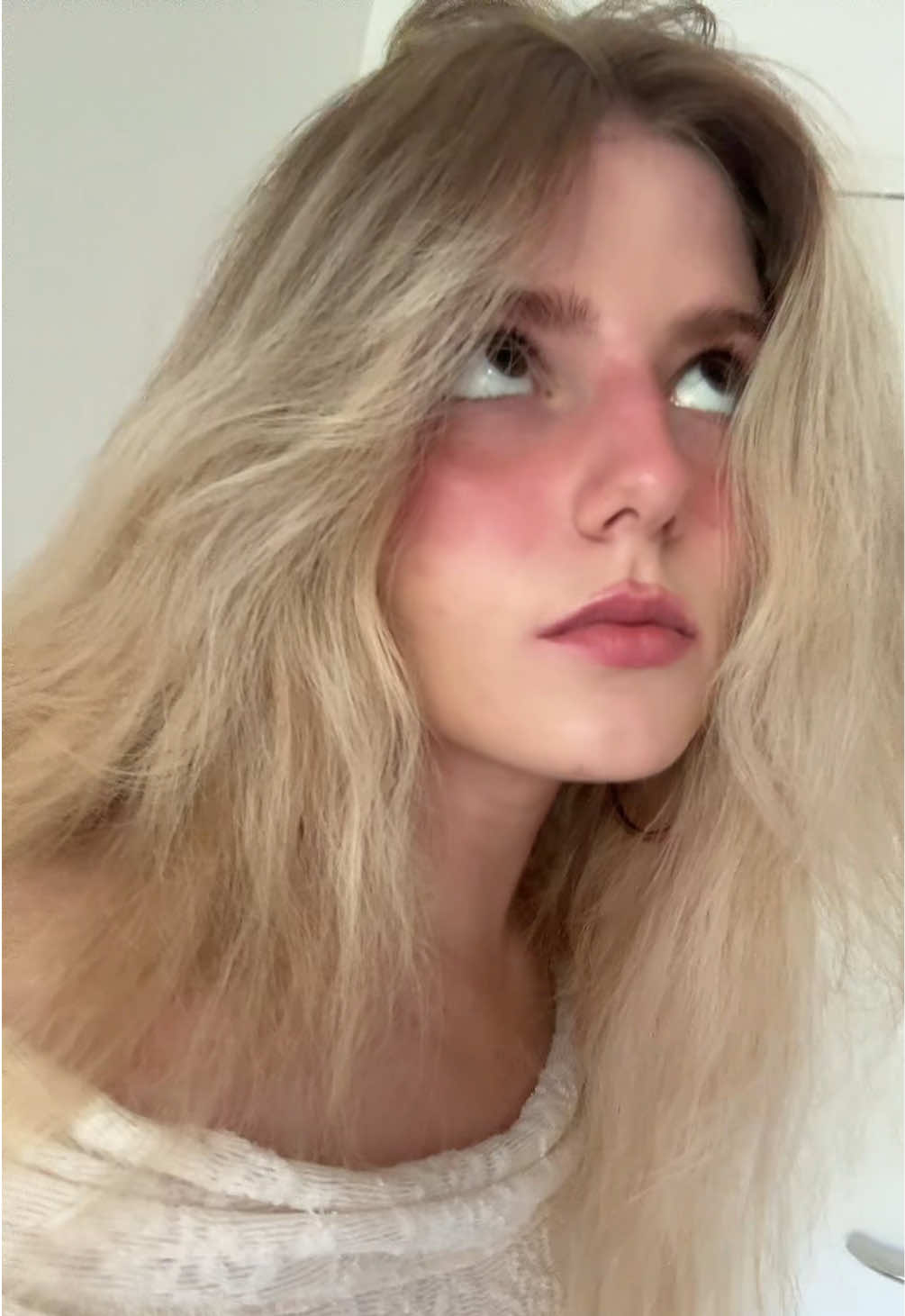 @софа котик