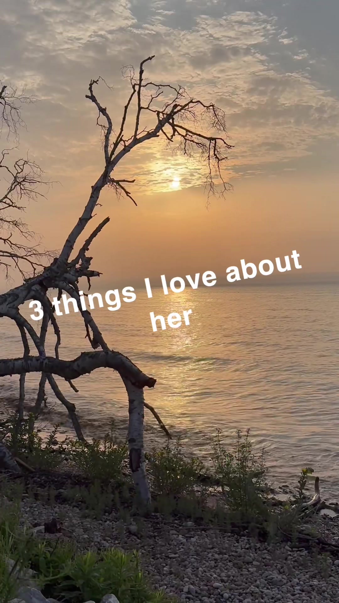 @Jay