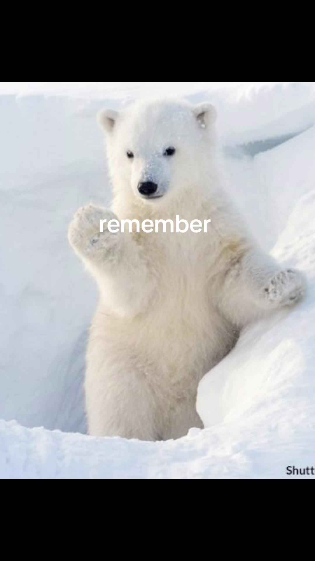 @secretplsdontfindthis5