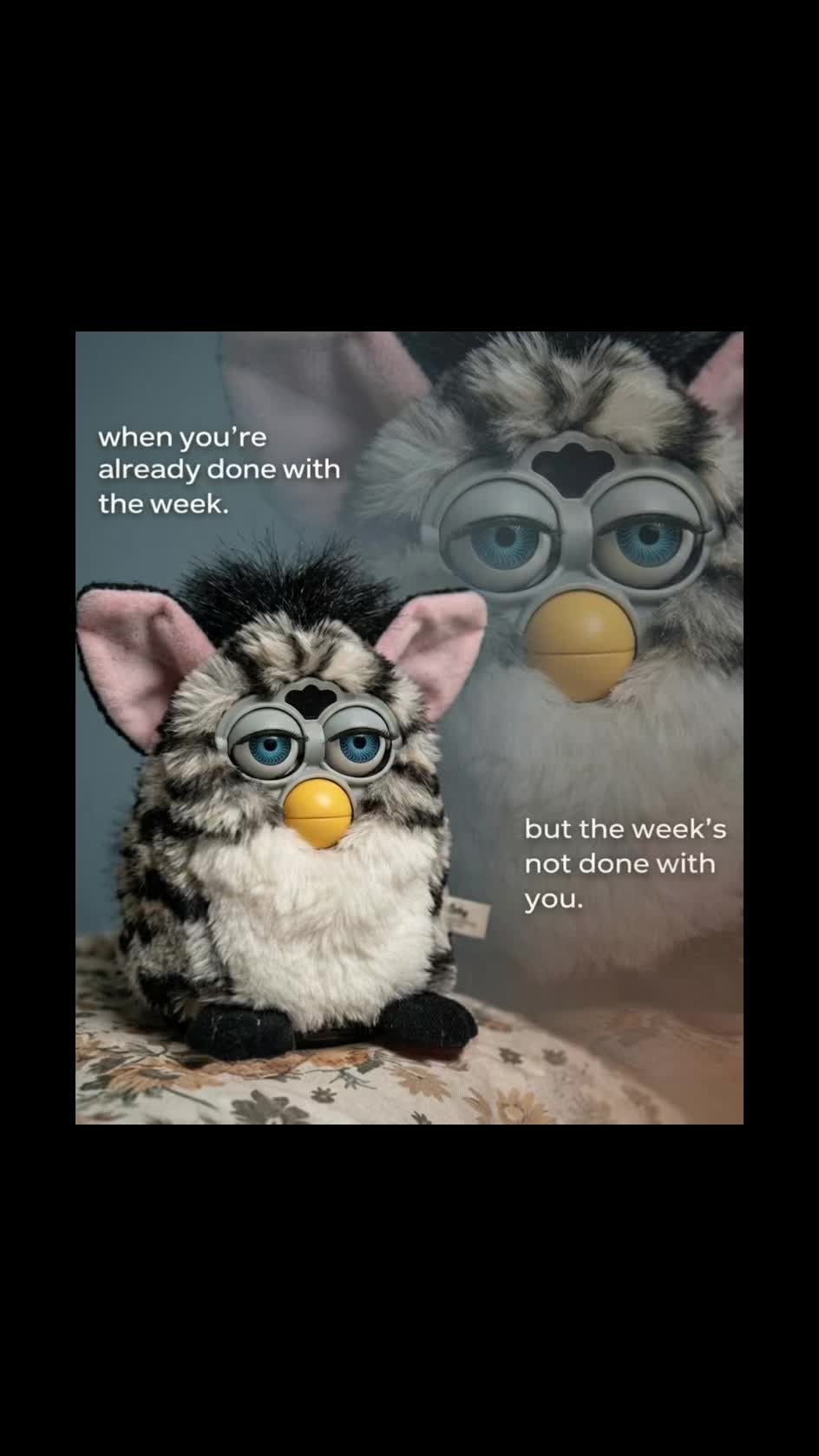 @Furbaliciousfurbz