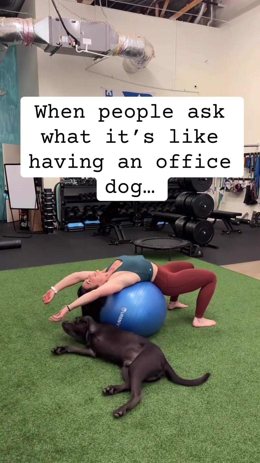 @Stacie Barber | Phoenix Physio