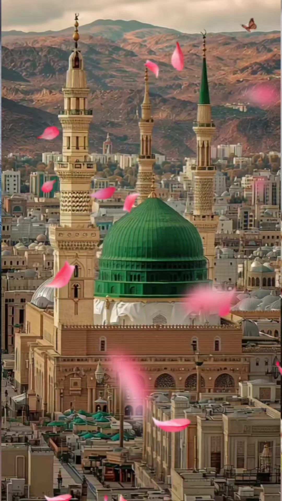 @Muhammad Hafeez