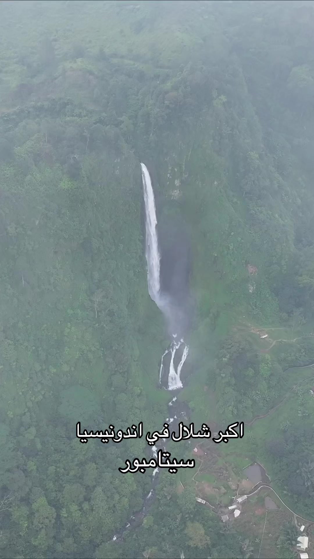 @محمد الأمير