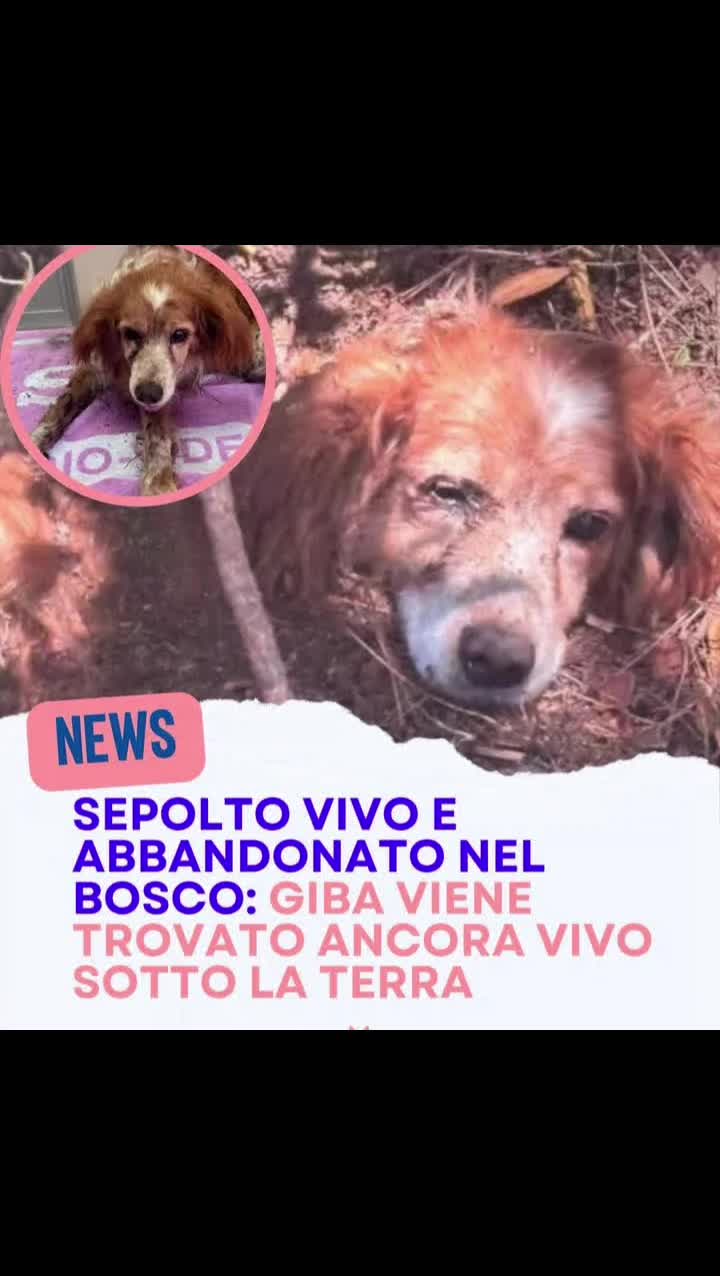 @Michele72☑️