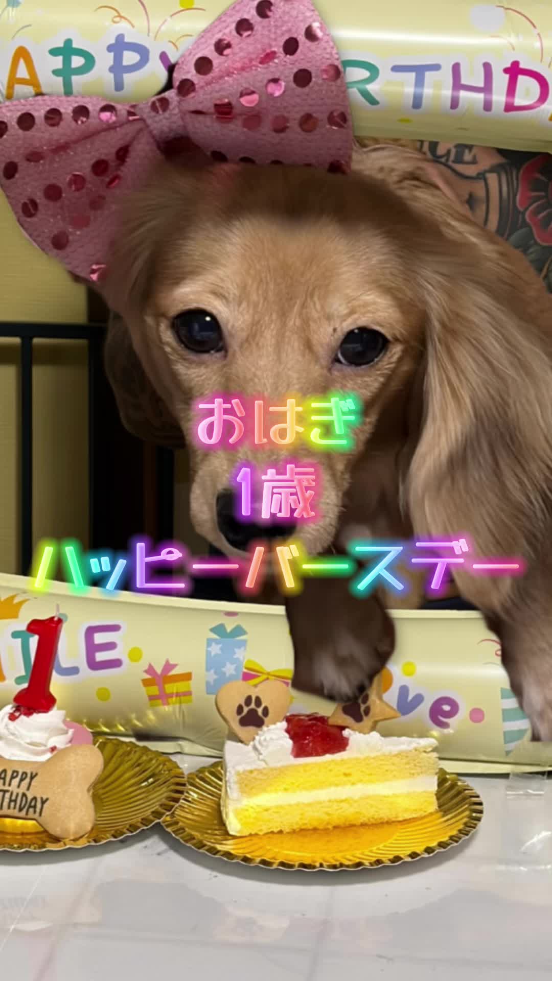 @あんちゃんまん