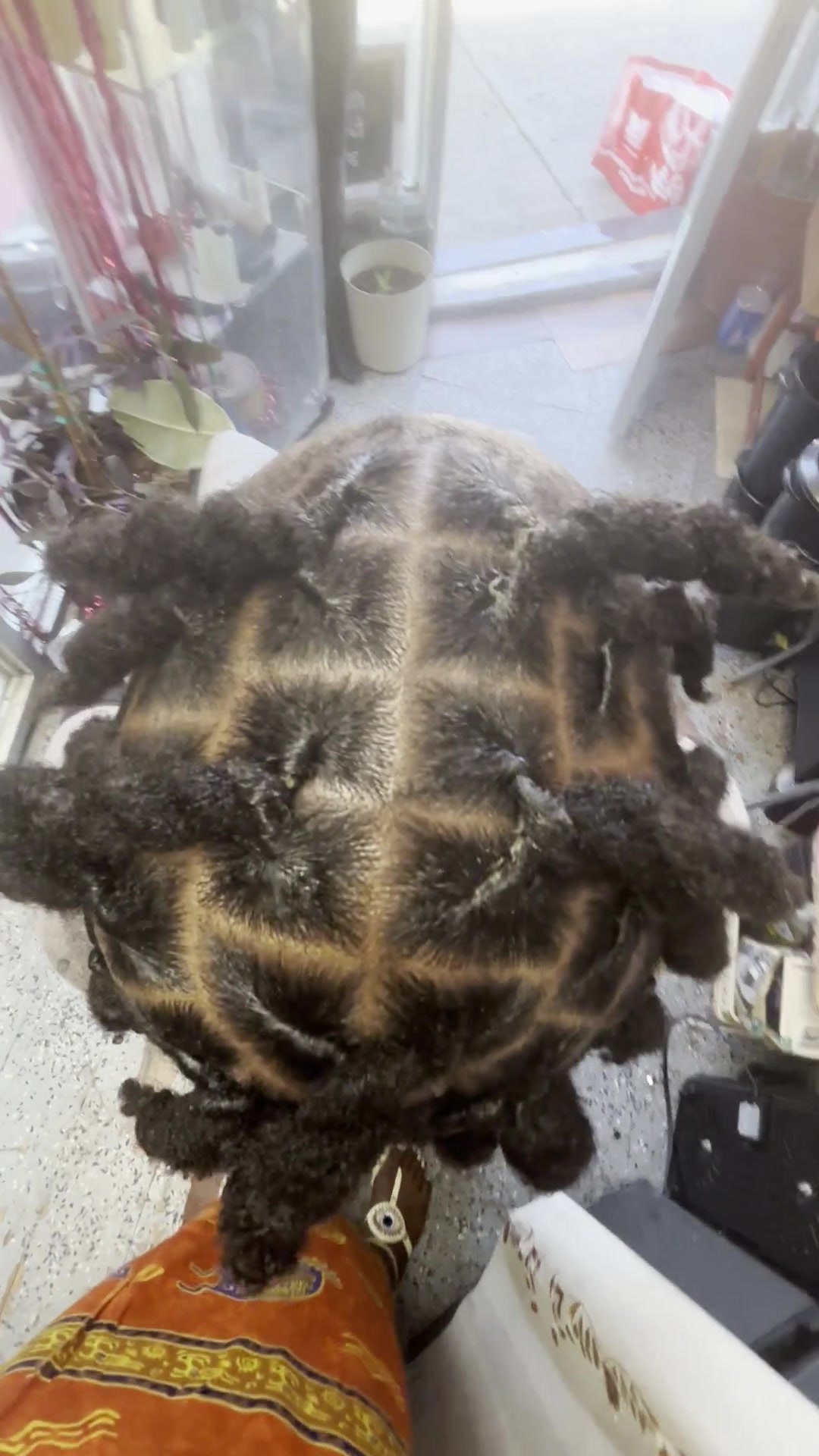 @THE DRIP BOSS hair growth oils