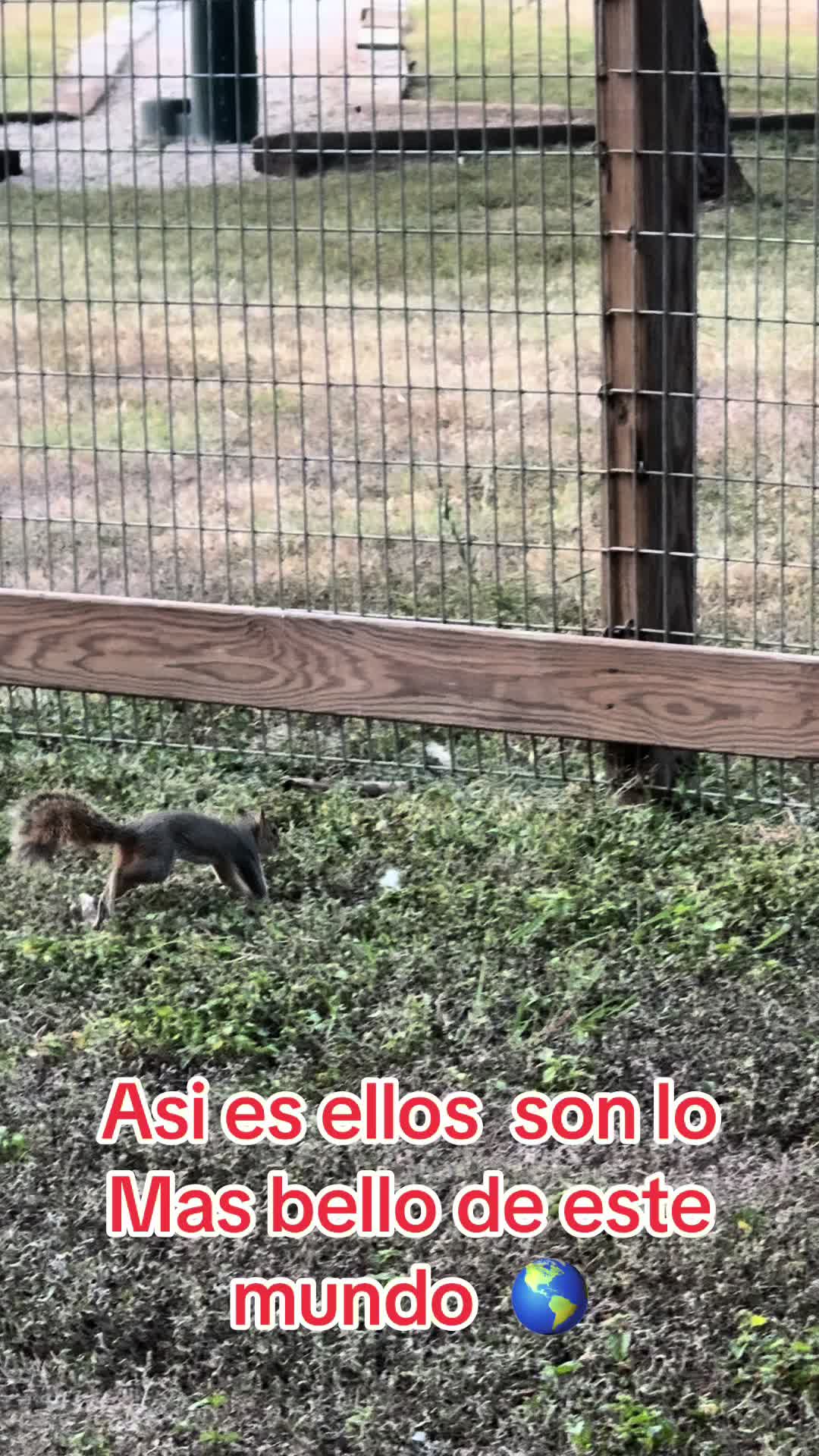@Veronica Espinoza