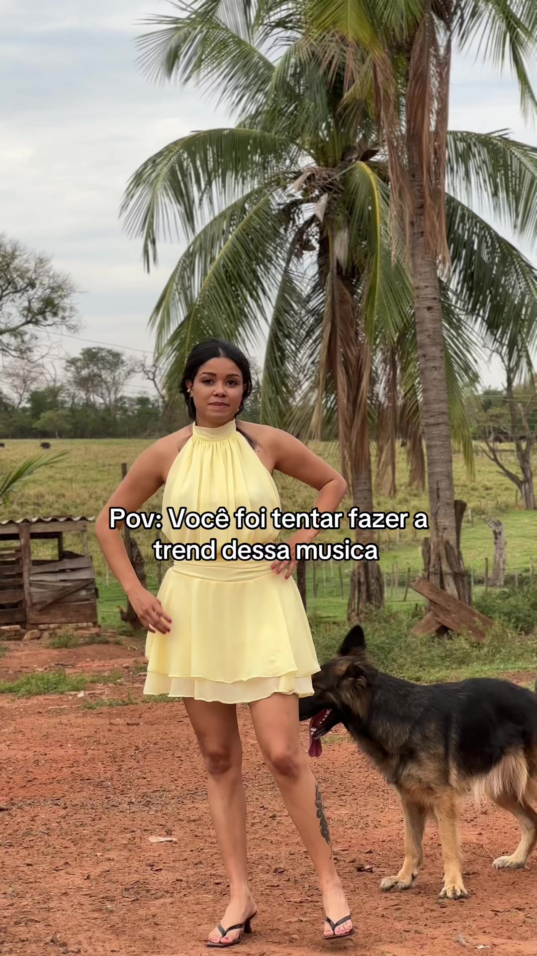 @Ai Tati