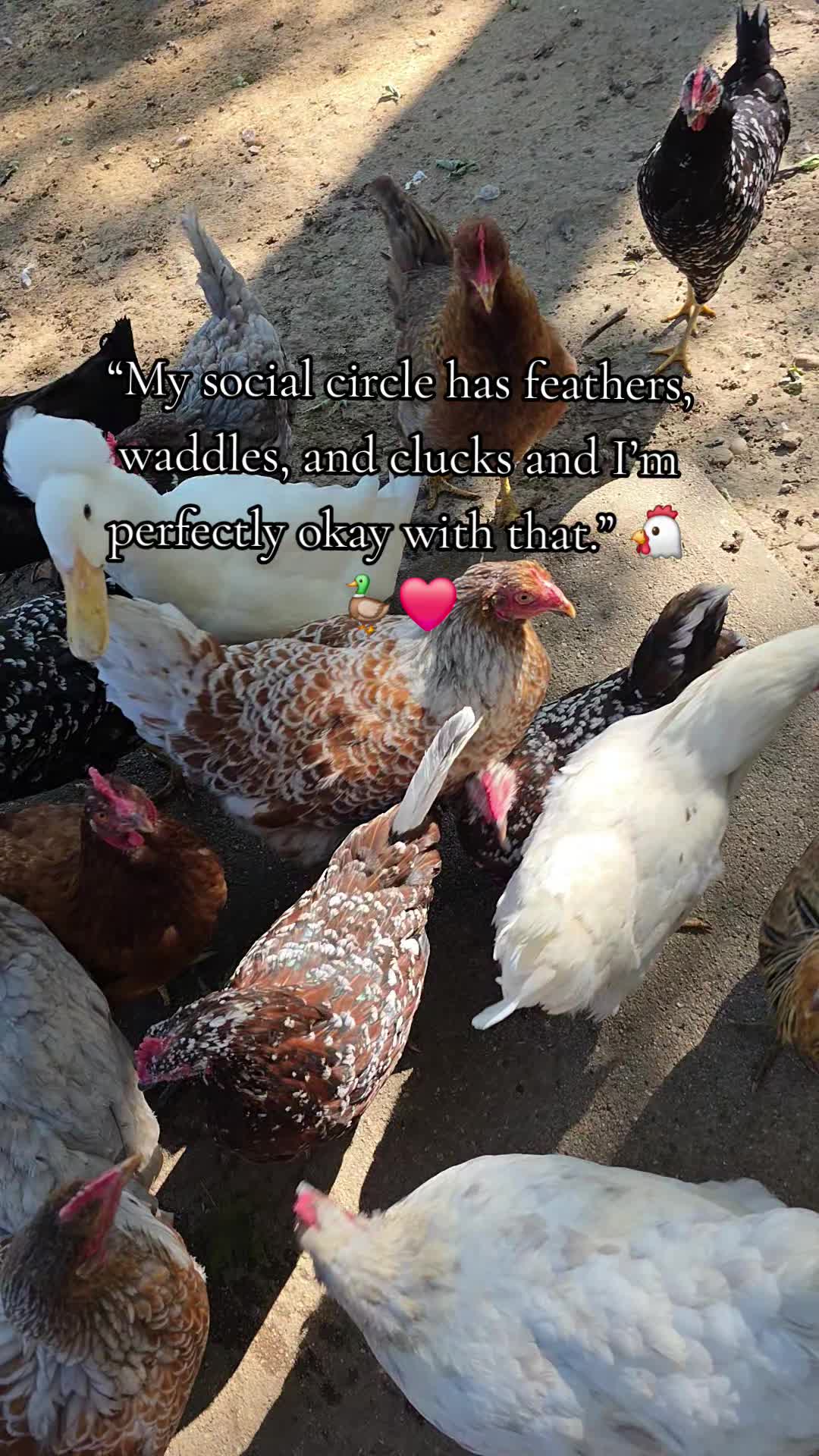 @Naturelover_🌻✝️