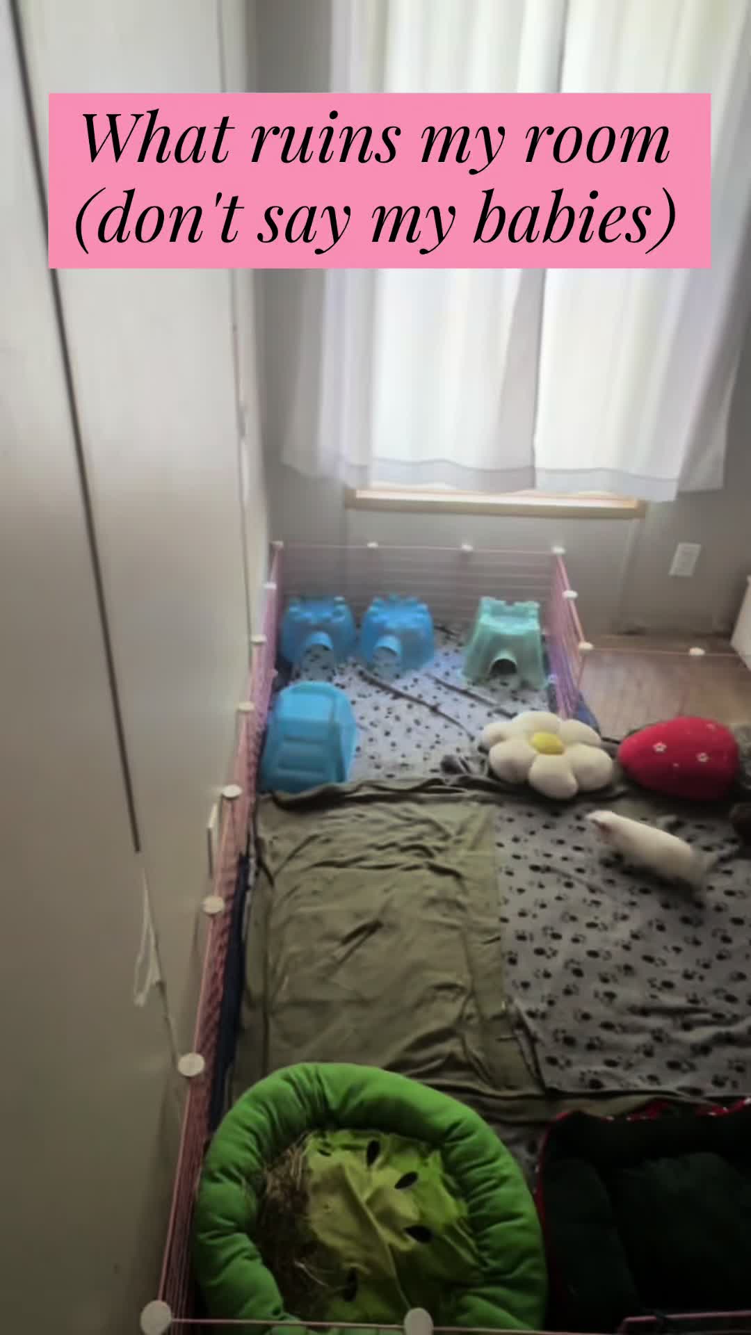 @l3ootyTicklez