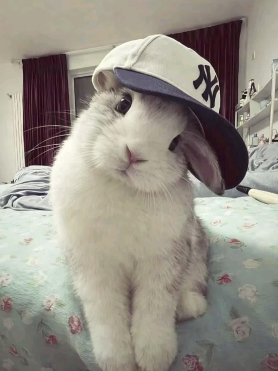 @belen🐇🧁🫧