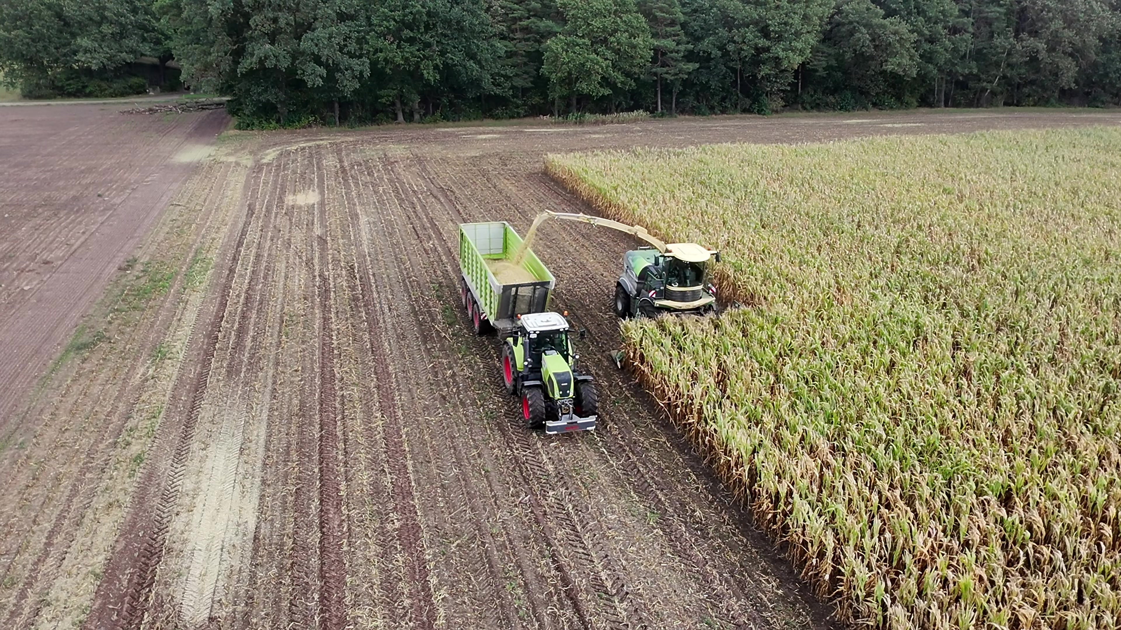 @Claas🇩🇪🇩🇪