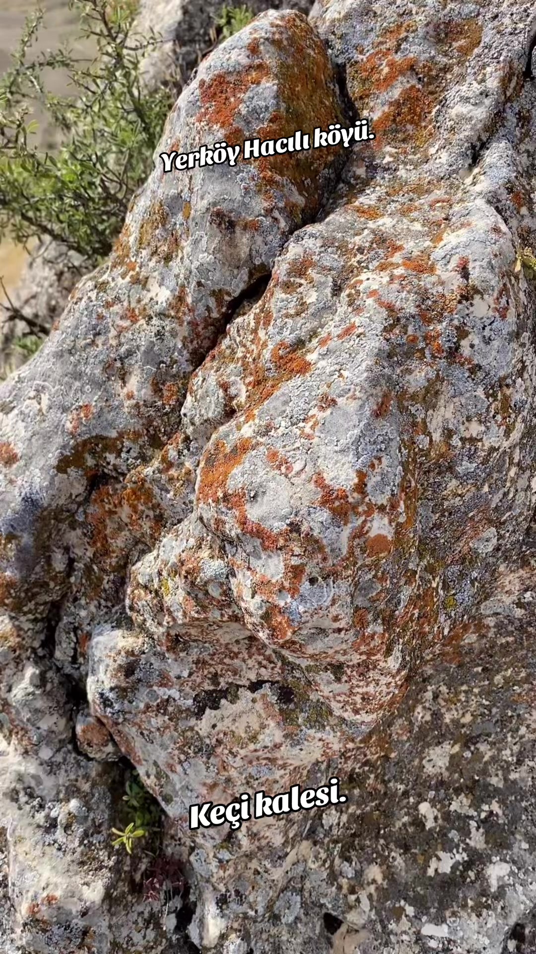 @Yerköy Hacılı Köyü
