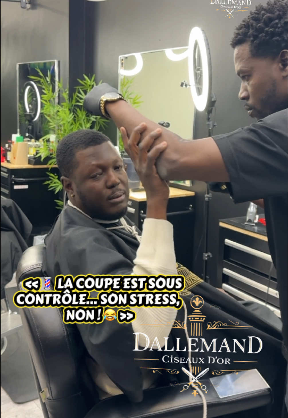 @dallemandciseauxdor