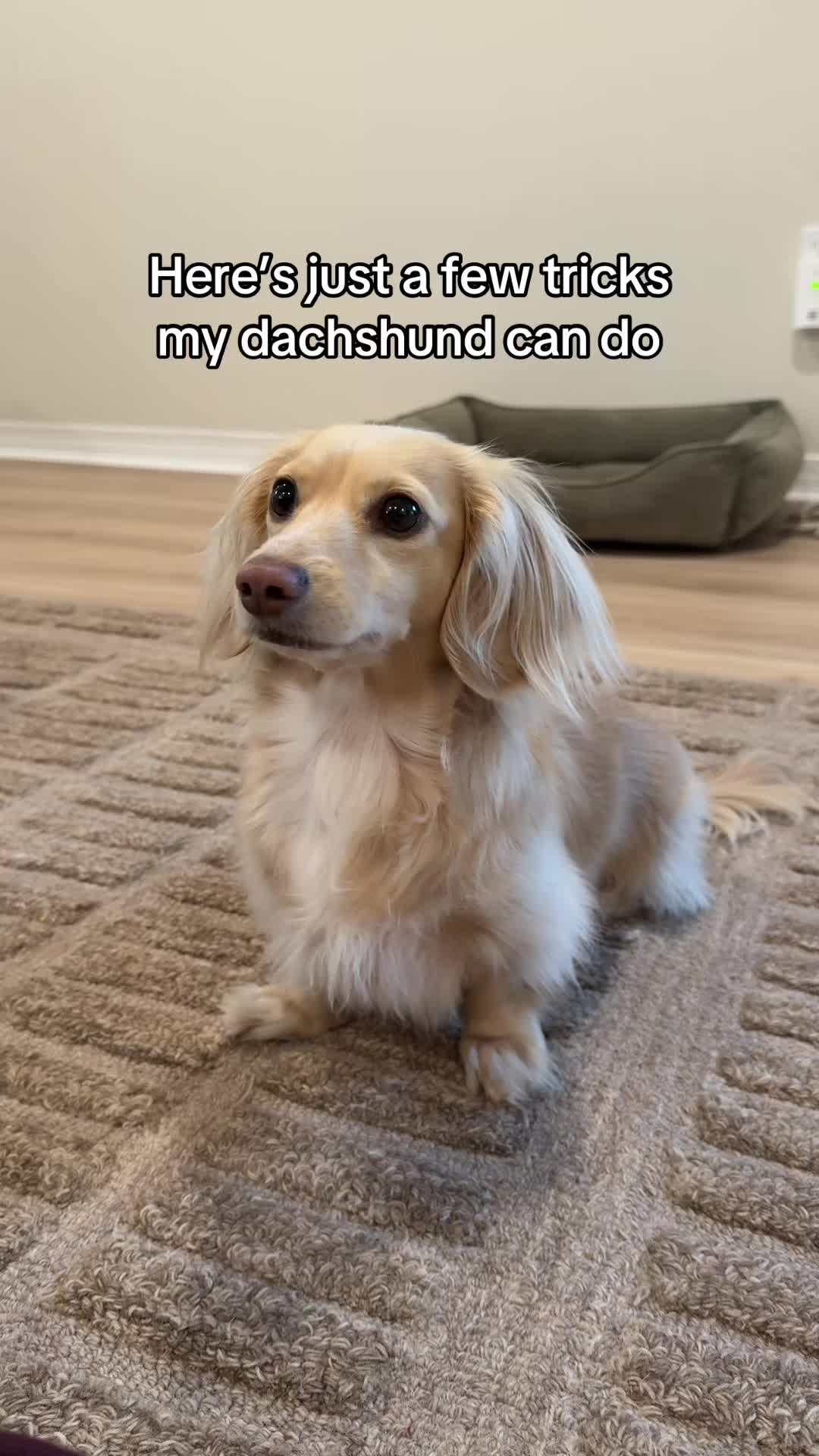 @Billiebeantheween
