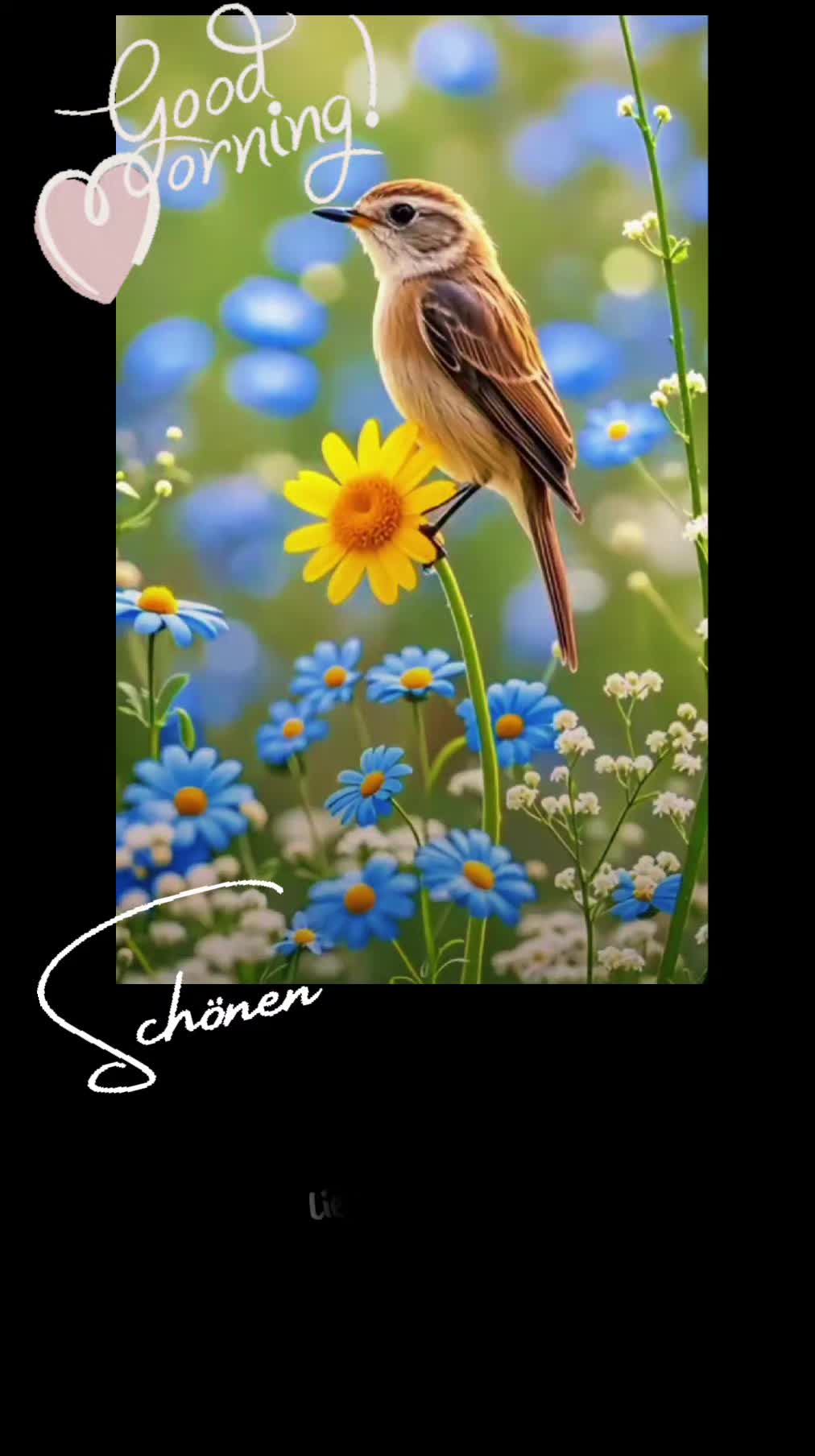 @🙋🏻&zwj;♀️😊Sobinick (Hanka)