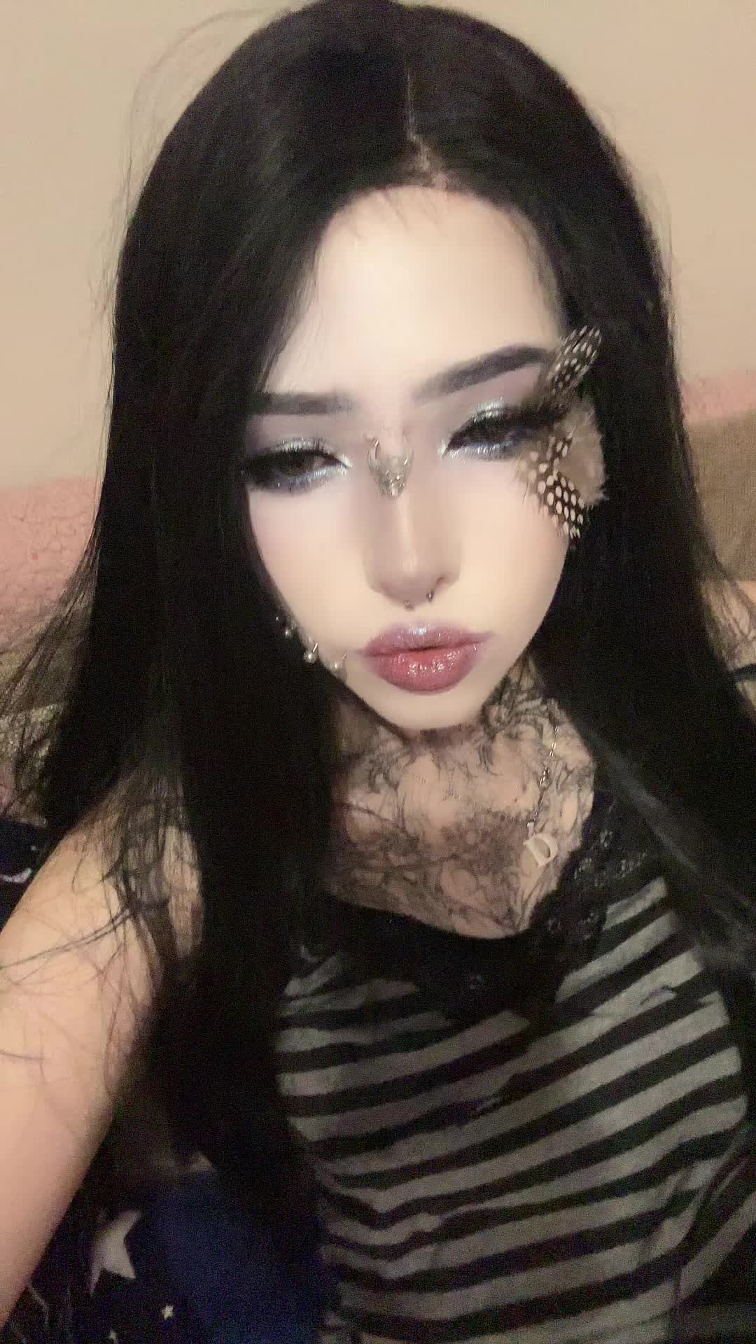 @dark dynasty