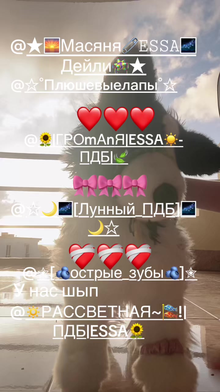 @🌀𝓫𝓸𝔂𝓪𝓬𝓱🌆EsSa🌻 PDB🌾бк