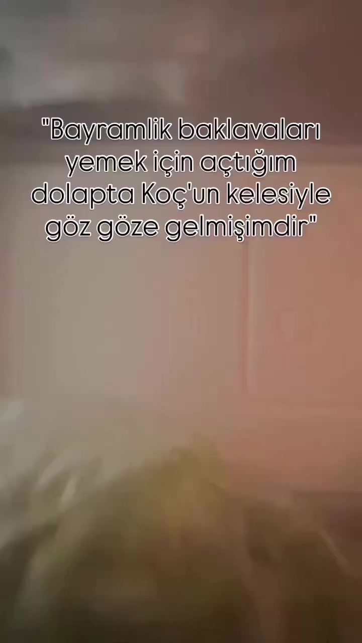 @Tuğba Zabtiye