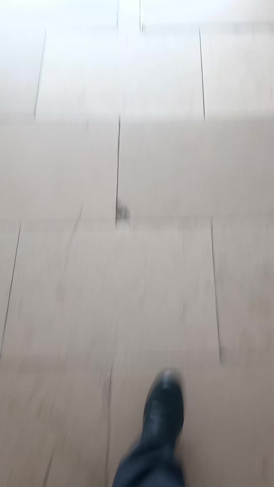@sp15bjj