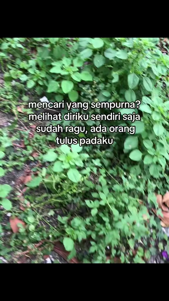 @๐๐ง๐๐ ๐๐๐ก๐๐ช_