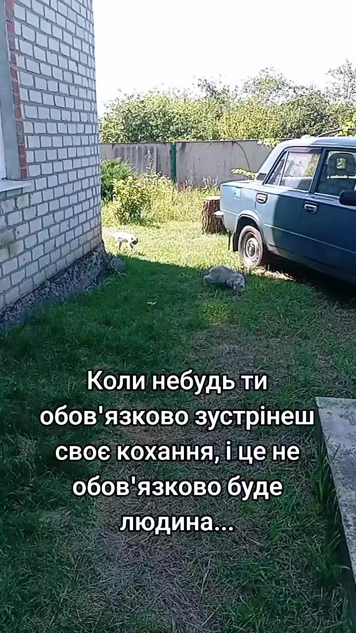 @🇺🇦Людмила🇺🇦