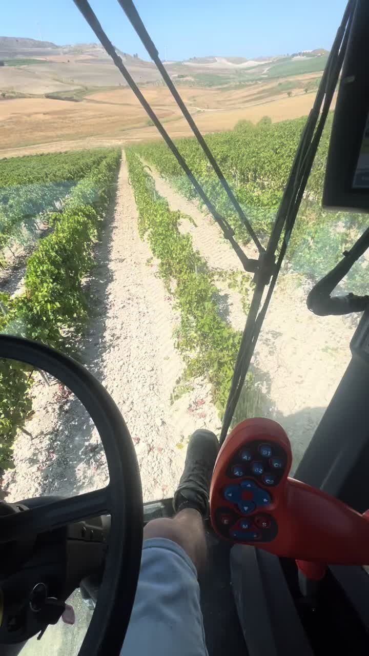 @DV.farm96