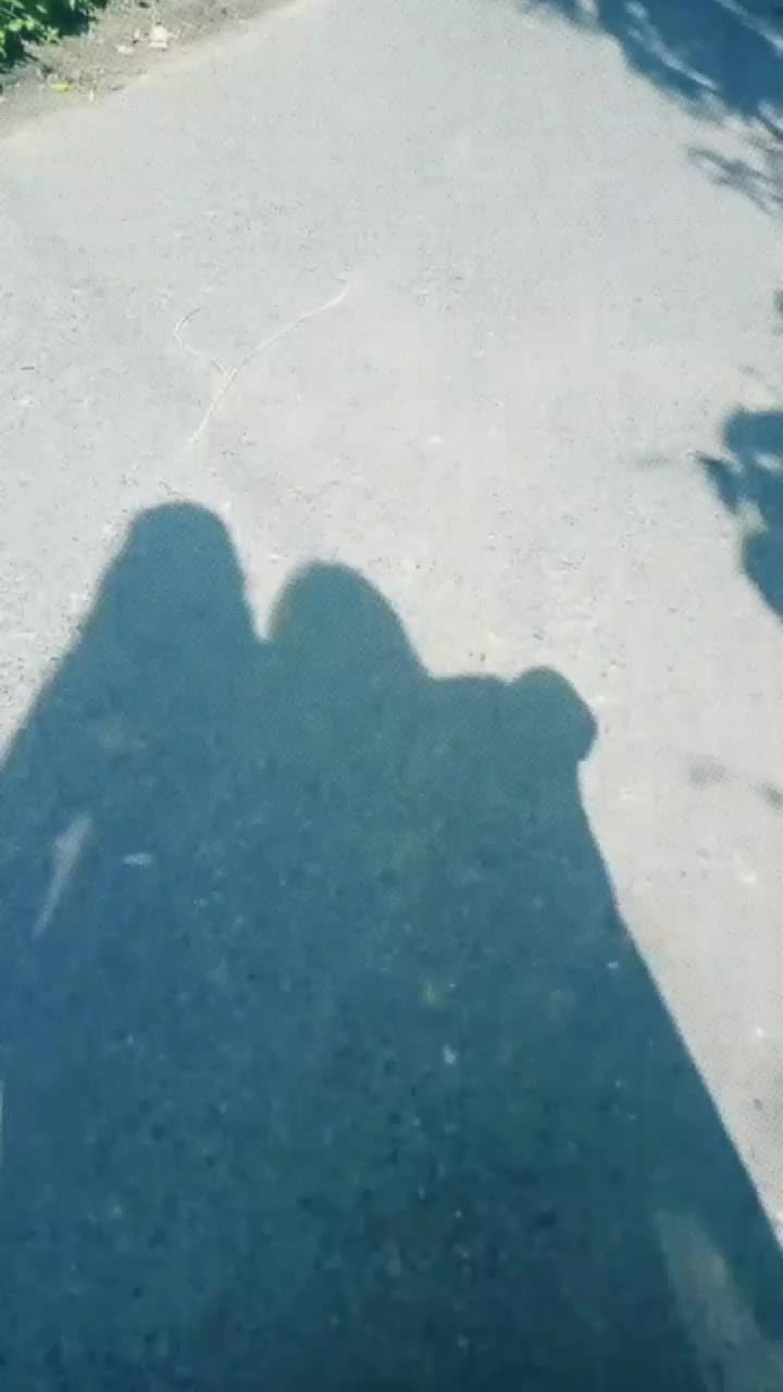 @anikaanni872