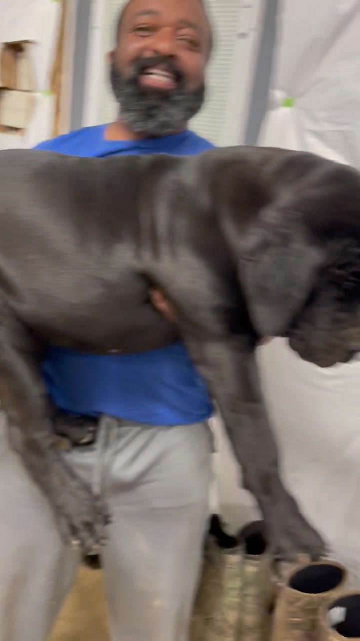 @kyboerboels